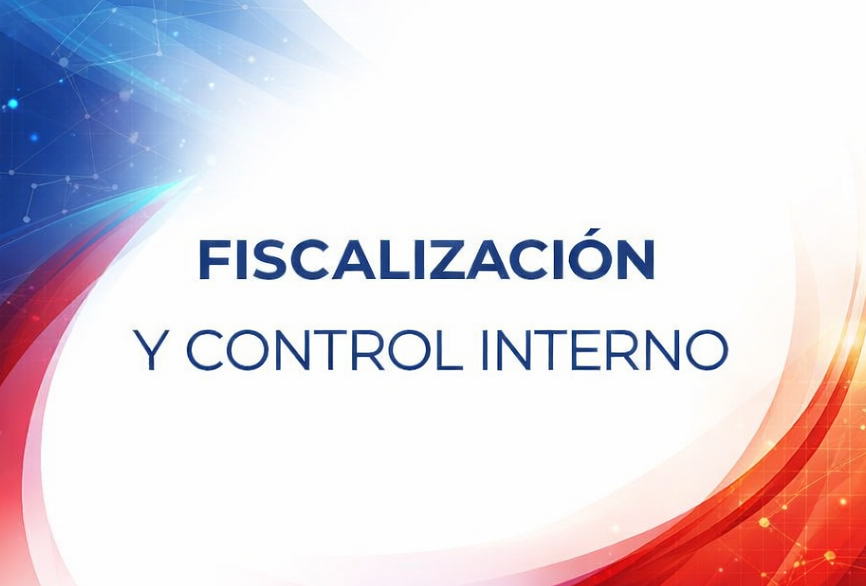 Curso de FISCALIZACI&Oacute;N Y CONTROL INTERNO