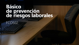 Curso de Básico de prevención de riesgos laborales (FCOS02)