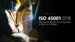 Curso de iso450012