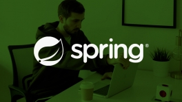 Curso de jspring2