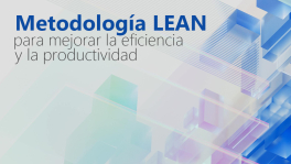 Curso de leanefi
