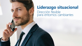 Curso de lidersitua