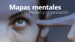 Curso de mapamental