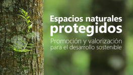 Curso de naturalpro