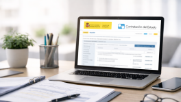 Curso de Licitaciones públicas: preparación y presentación de ofertas en la PLACSP