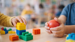 Curso de Psicomotricidad y socialización en educación infantil mediante el juego