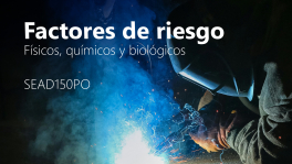Curso de Factores de riesgo: físicos, químicos y biológicos