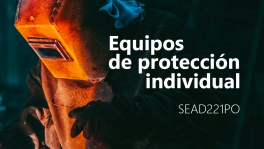 Curso de sead221po