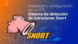 Curso de snortids