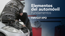 Curso de tmvg014po